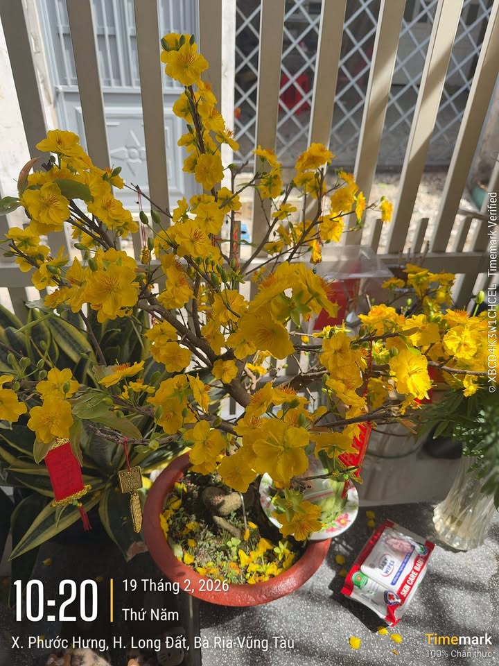 Đất nền Tam Phước Long Điền 191m² giá 820 triệu - Sổ đỏ chính chủ