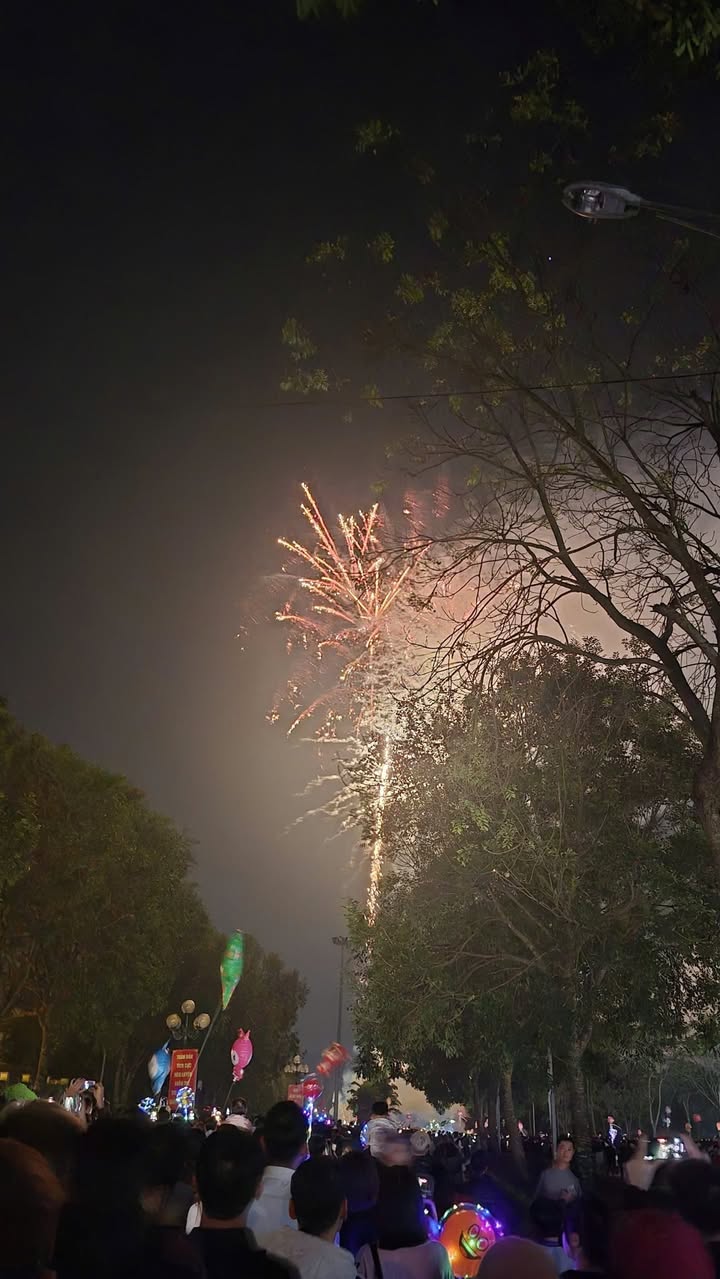 Nhà 2 Tầng Mặt Tiền Trần Phú, Bỉm Sơn - 100m², Hướng Bắc - KD Sầm Uất