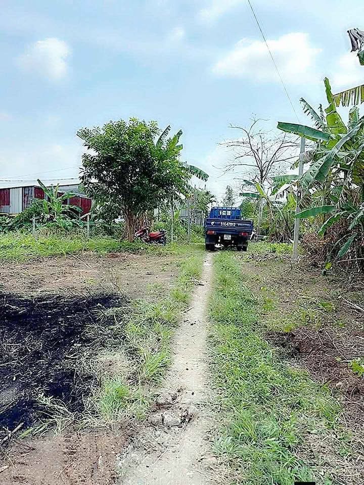 Đất nền Hồng Ngự 150m² giá 310 triệu - Sổ đỏ chính chủ!