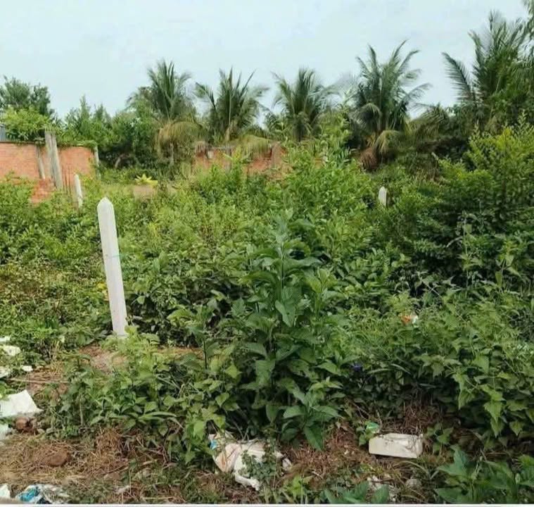 Đất nền Châu Thành 80m² - Sổ đỏ chính chủ, giá 680 triệu!