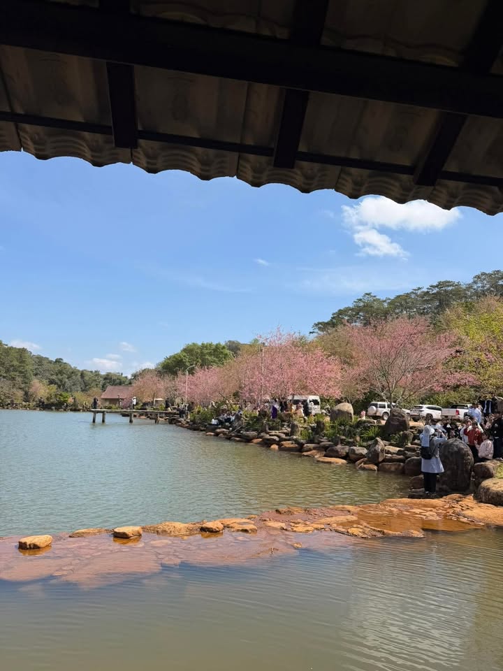 Biệt Thự Tây Măng Đen 500m² Hướng Tây - Giá 1x Tỷ