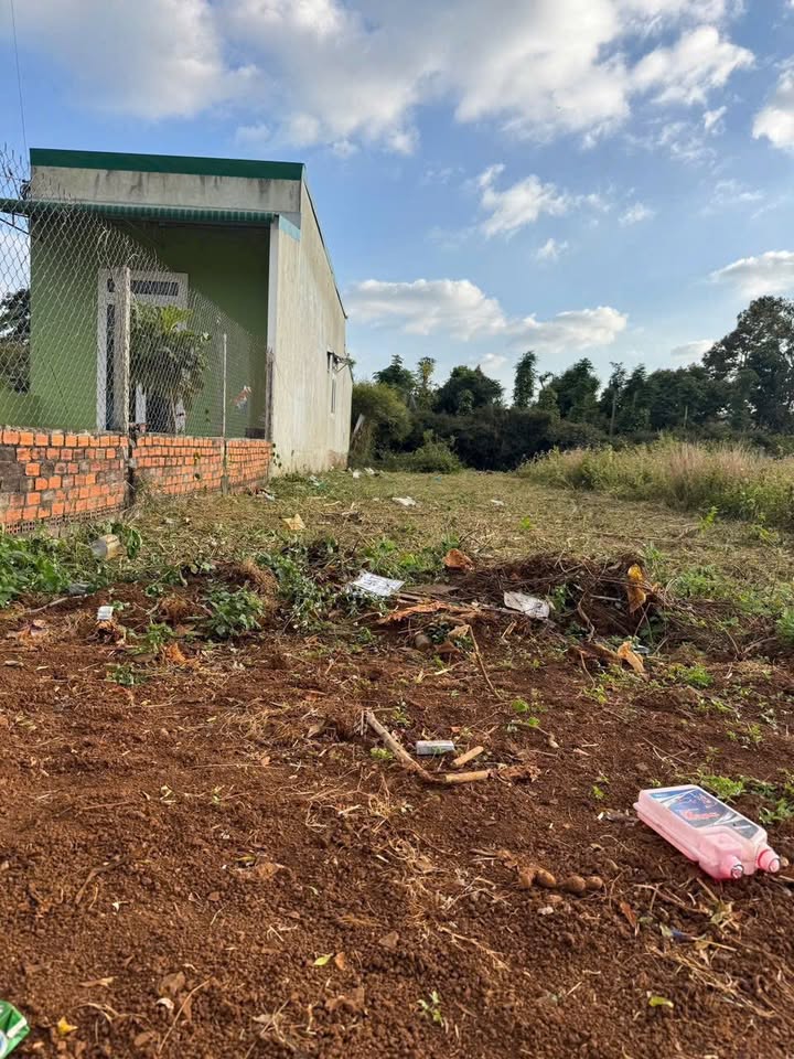 Đất biệt thự Tân An BMT 324m² giá 1.5 tỷ - Tiềm năng sinh lời cao!