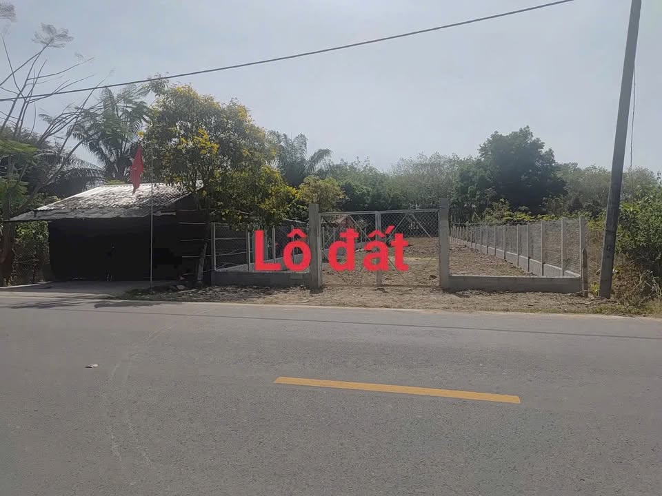 Đất nền An Nhơn Tây, Củ Chi 1055m² - Tiềm năng tăng giá vượt trội!