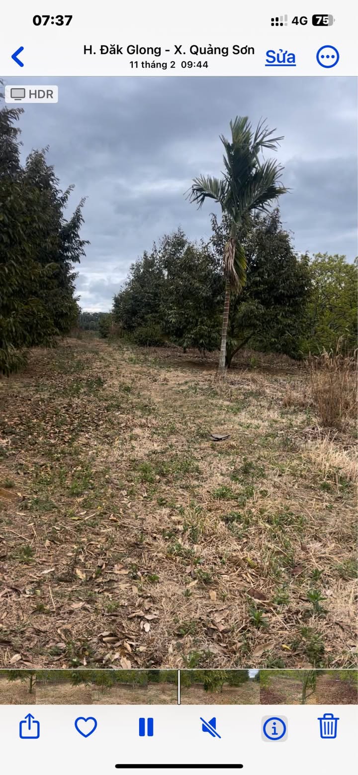 Bán Gấp 10ha Đất Vườn Đăk Nông - Sổ Đỏ Sẵn, Mặt Tiền 600m