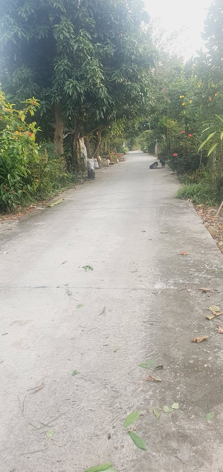 Đất Vườn Đồng Tháp 2159m² - Mặt Tiền Sông Lớn, Nghỉ Dưỡng/Đầu Tư