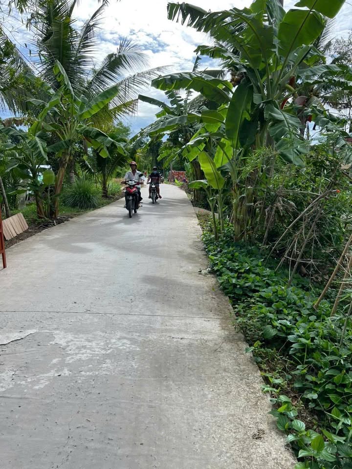 Đất nền 450m² Xã Đông Phước, Hậu Giang - Tiềm năng tăng giá!