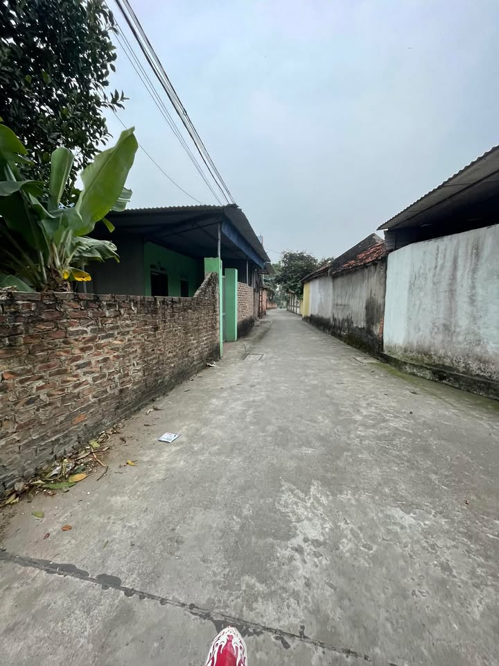 Đất Nền Phổ Yên 120m² - Đầu Tư Cận KCN Tân Phú, Thái Nguyên