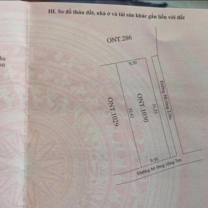 Đất nền Cẩm Thanh Hội An 302m² - Sổ đỏ chính chủ, lô góc 2 mặt tiền