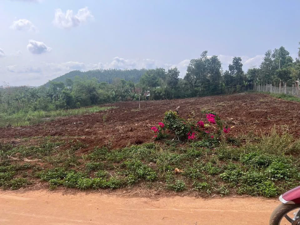 Đất nền Cư Huê Ea Kar 336m² giá 800 triệu - Sổ đỏ chính chủ