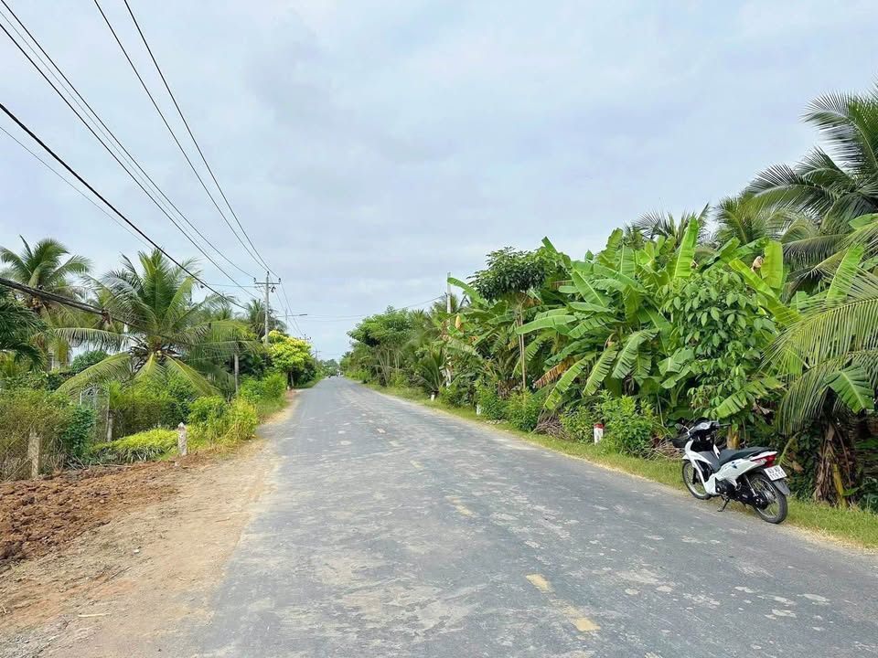 Đất Nền Xã Bình Ninh 450m² Chỉ 1.5 Tỷ - Tiềm Năng Tăng Giá Vượt Trội!