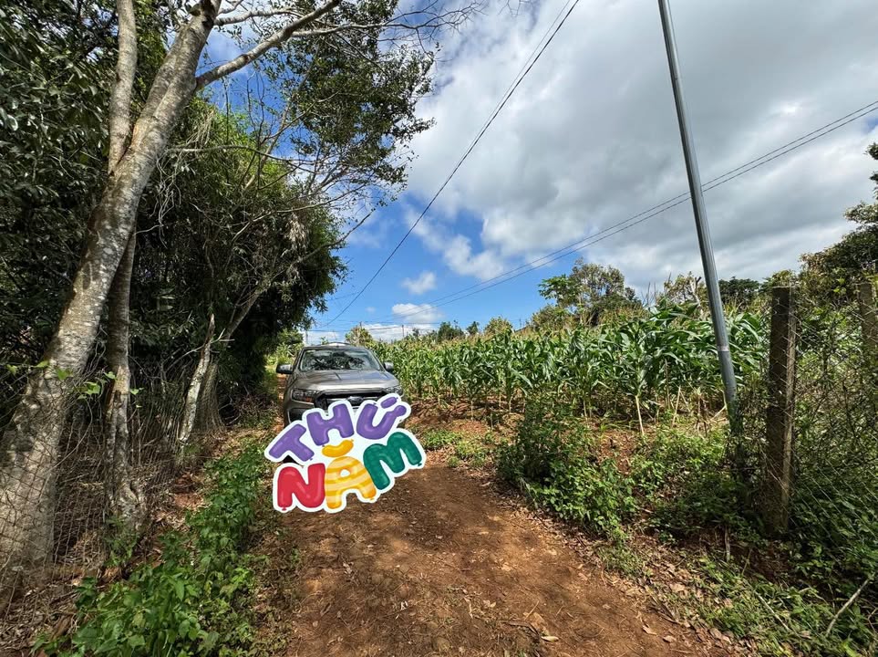 Đất Nền Ea Drông, Buôn Hồ 400m² Sổ Đỏ Riêng - Giá Đầu Tư 550 Triệu