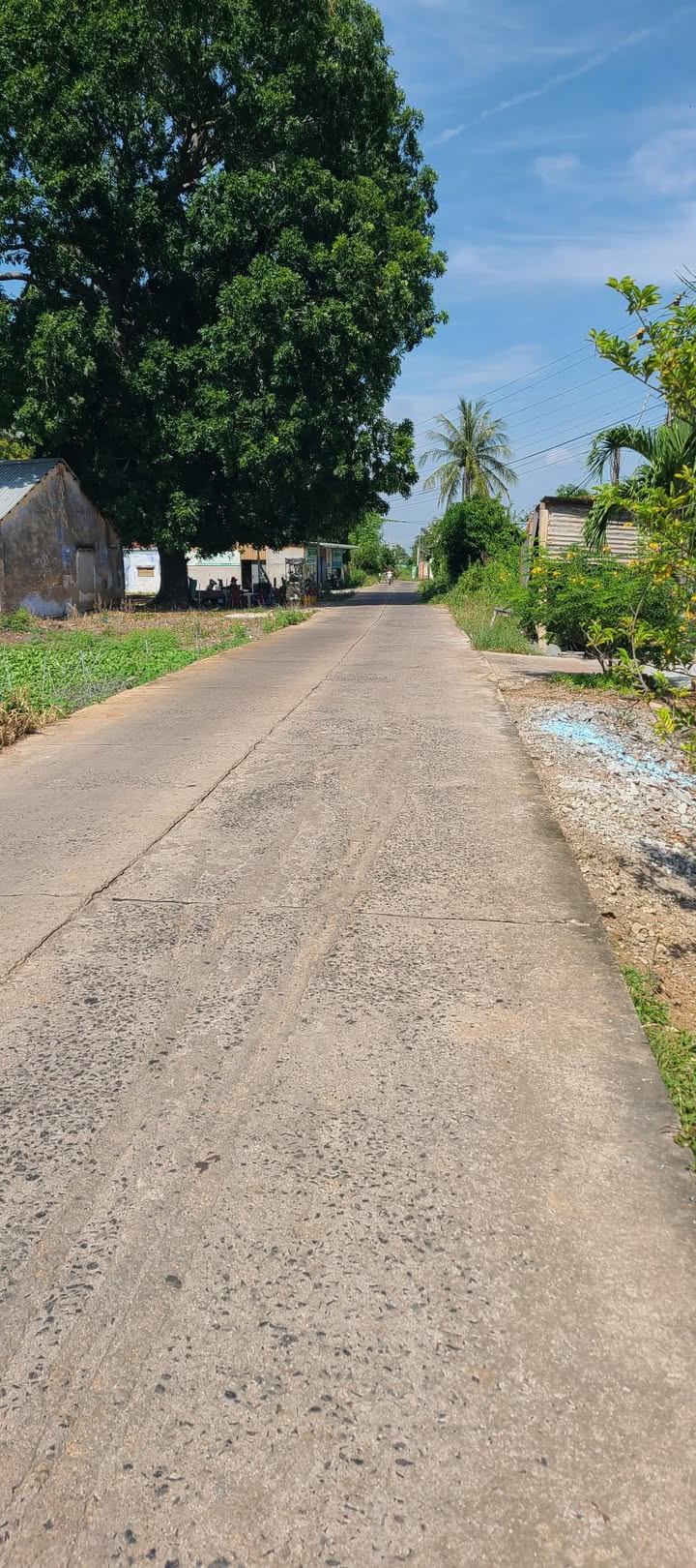 Đất nền Thị trấn Lộc Thắng, Bảo Lâm từ 650 triệu - Sổ đỏ chính chủ!