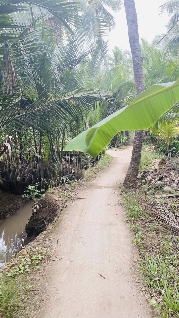 Bán Gấp Đất Vườn 2183m² MT QL 57C, Bến Tre - Giá 870 Triệu