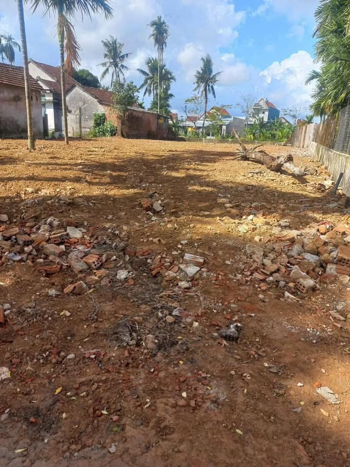 Đất Vườn Quảng Ngãi 500m² - Sẵn Sàng Xây Dựng Tổ Ấm