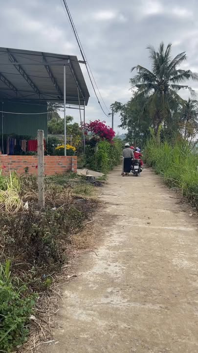 Đất Vàng An Khê - 280m² Sổ Đỏ Giá 2xx Triệu Đầu Năm