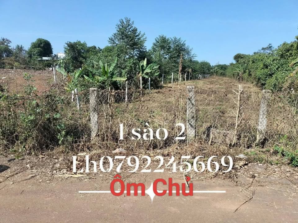 Đất Vàng Xã Bàu Chinh 432m² - Sổ Hồng Sẵn Sàng - Giá 1.18 Tỷ