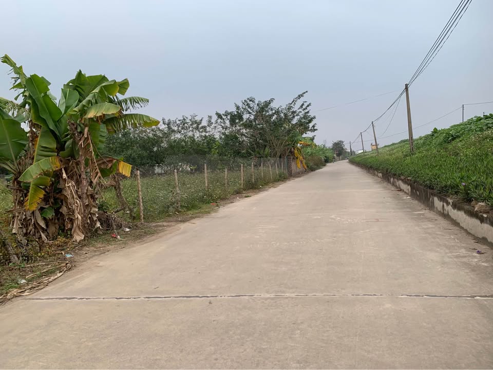 Bán Đất Chi Lăng Quế Võ 200m² 20 Tỷ - Vị Trí Vàng Cho Biệt Phủ