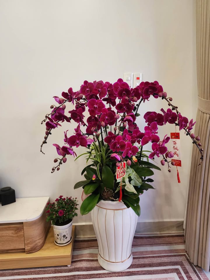 Đất nền Kiến An, Hải Phòng 78.5m² - Sổ đỏ chính chủ, giá chỉ 1.99 tỷ!