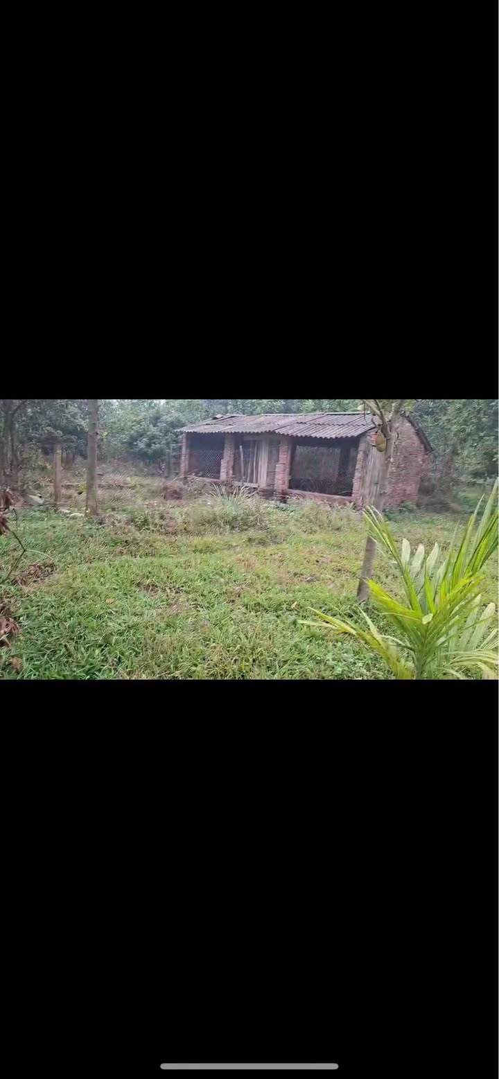 Đất Hồng Kỳ Sóc Sơn 3000m² giá 9 tỷ - Tiềm năng tăng giá vượt trội