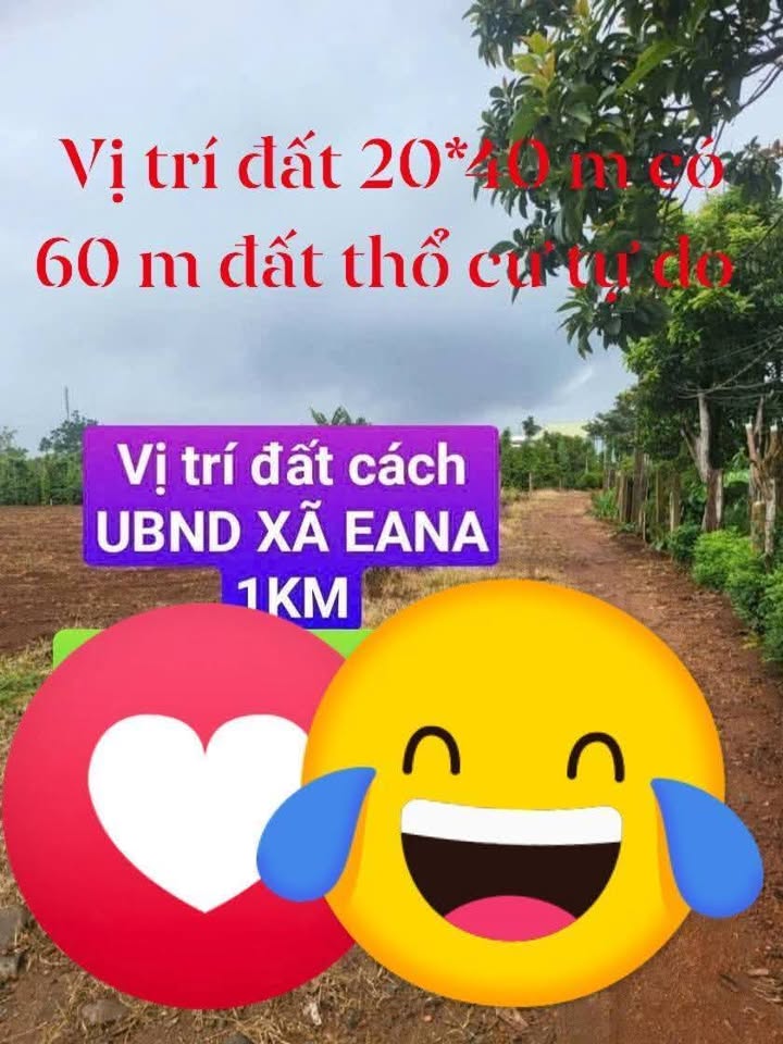 Đất Nền Chính Chủ Xã Ea Na, Đắk Lắk - 800m² Giá Tốt Đầu Xuân