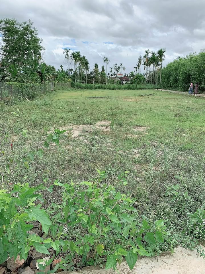 Đất nền Xã Trà Giang, Tư Nghĩa 102m² 178 triệu - Tiềm năng tăng giá!