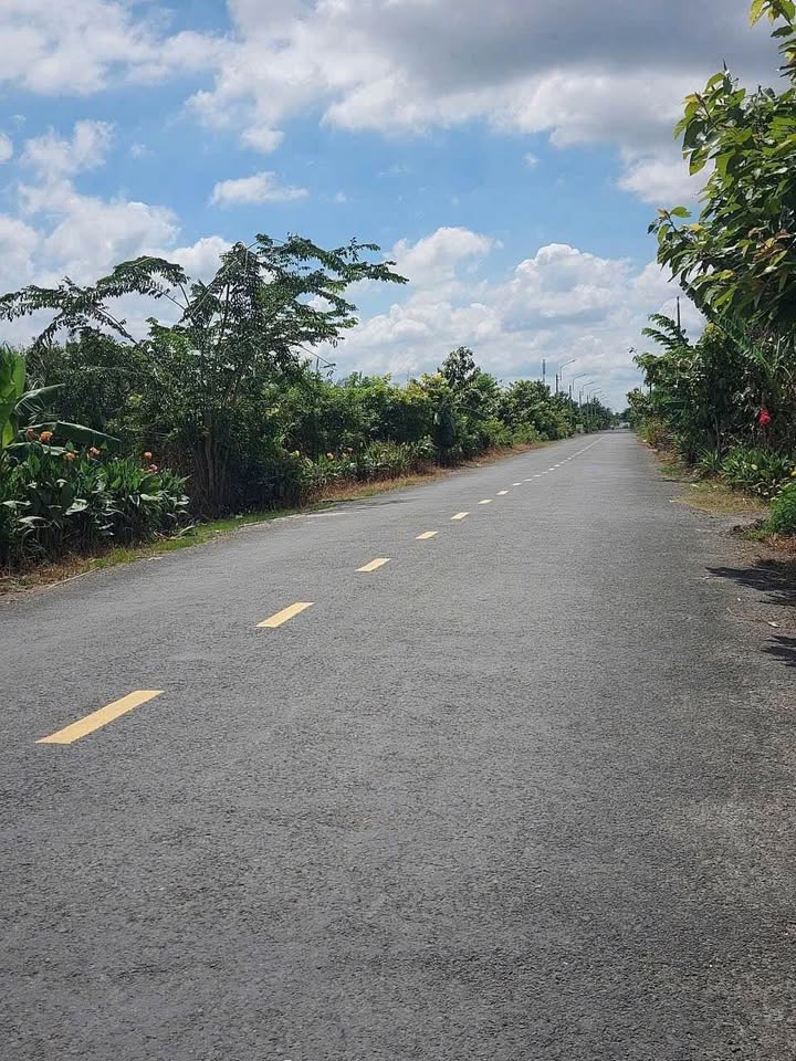 Đất nền Bình Tân Vĩnh Long 1.160m² giá 1.5 tỷ - Sổ đỏ chính chủ