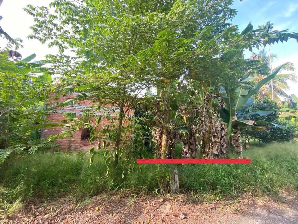 Đất nền Tân Phú Cần Thơ 153m² - Mặt tiền sông, tiềm năng tăng giá