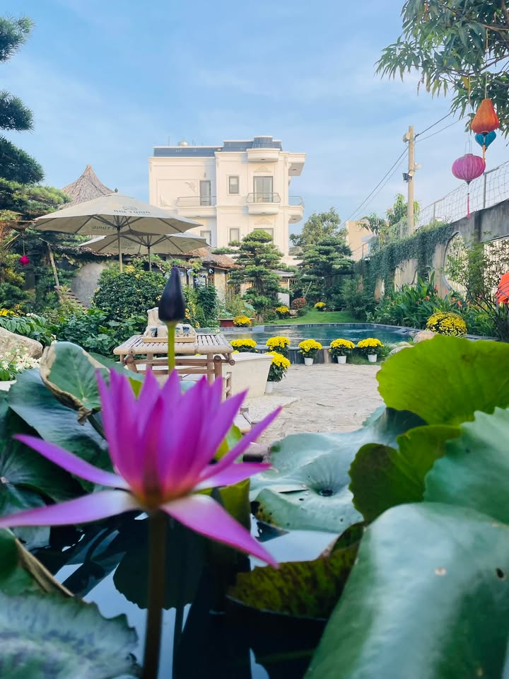 Đất nền Phú Quốc 1200m² - Sổ hồng sẵn, tiềm năng tăng giá!