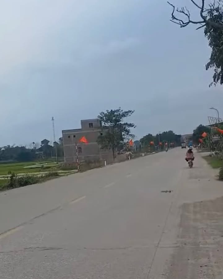 Bán đất mặt đường 479 Gia Lâm 100m² - Sổ đỏ chính chủ giá tốt!