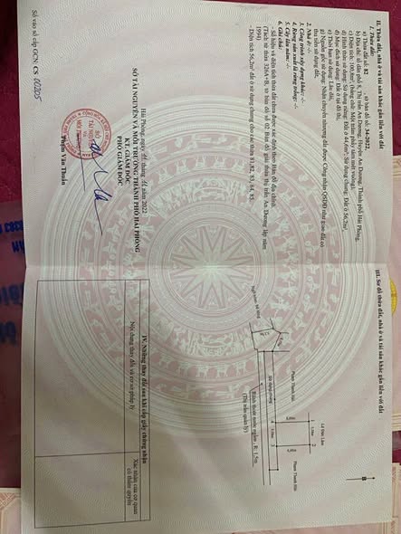 Bán đất Tổ 8 An Dương Hải Phòng 44.6m² giá 1.2 tỷ - Sổ đỏ chính chủ