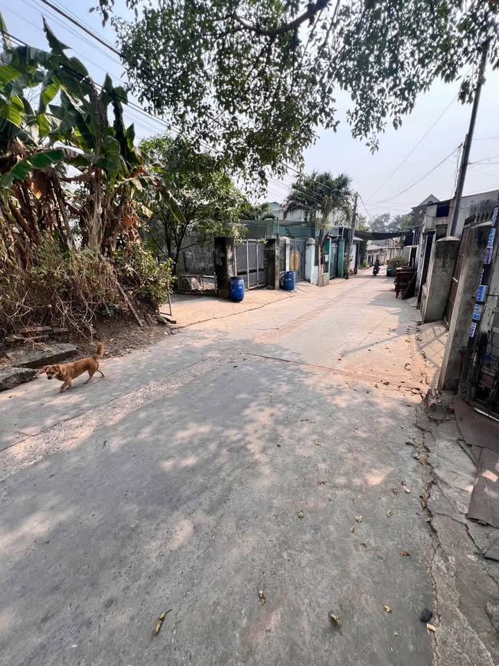 Lô đất Hố Nai, Biên Hòa 152m² – Sổ đỏ chính chủ, tặng nhà cấp 4!