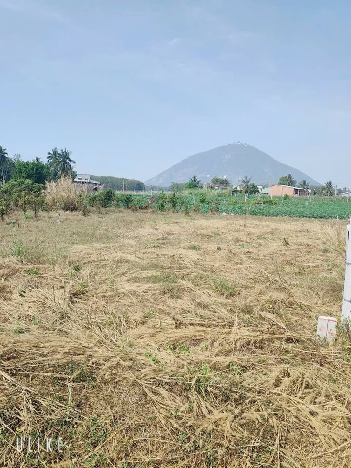 Đất vườn Dương Minh Châu 1000m² giá 389 triệu - Sổ đỏ chính chủ