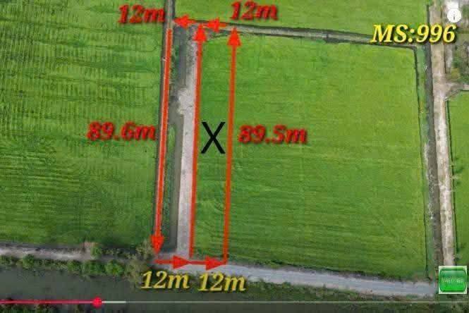 Đất Nền Tân Long, Thủ Thừa 1068m² - Đường ô tô tới đất, giá 400 triệu!