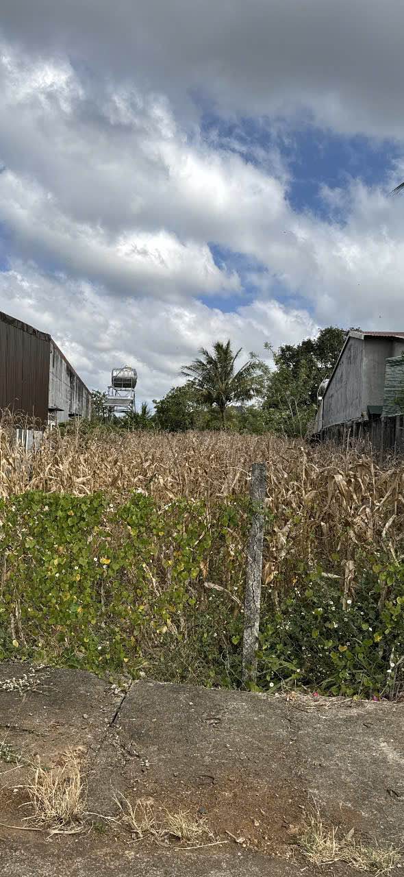 Đất nền Khánh Xuân Buôn Ma Thuột 500m² giá 1.59 tỷ - Sổ đỏ chính chủ