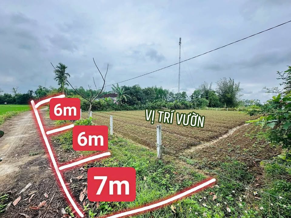 Đất nền Tam Anh Nam 240m² - Sổ đỏ chính chủ, tiềm năng đầu tư!