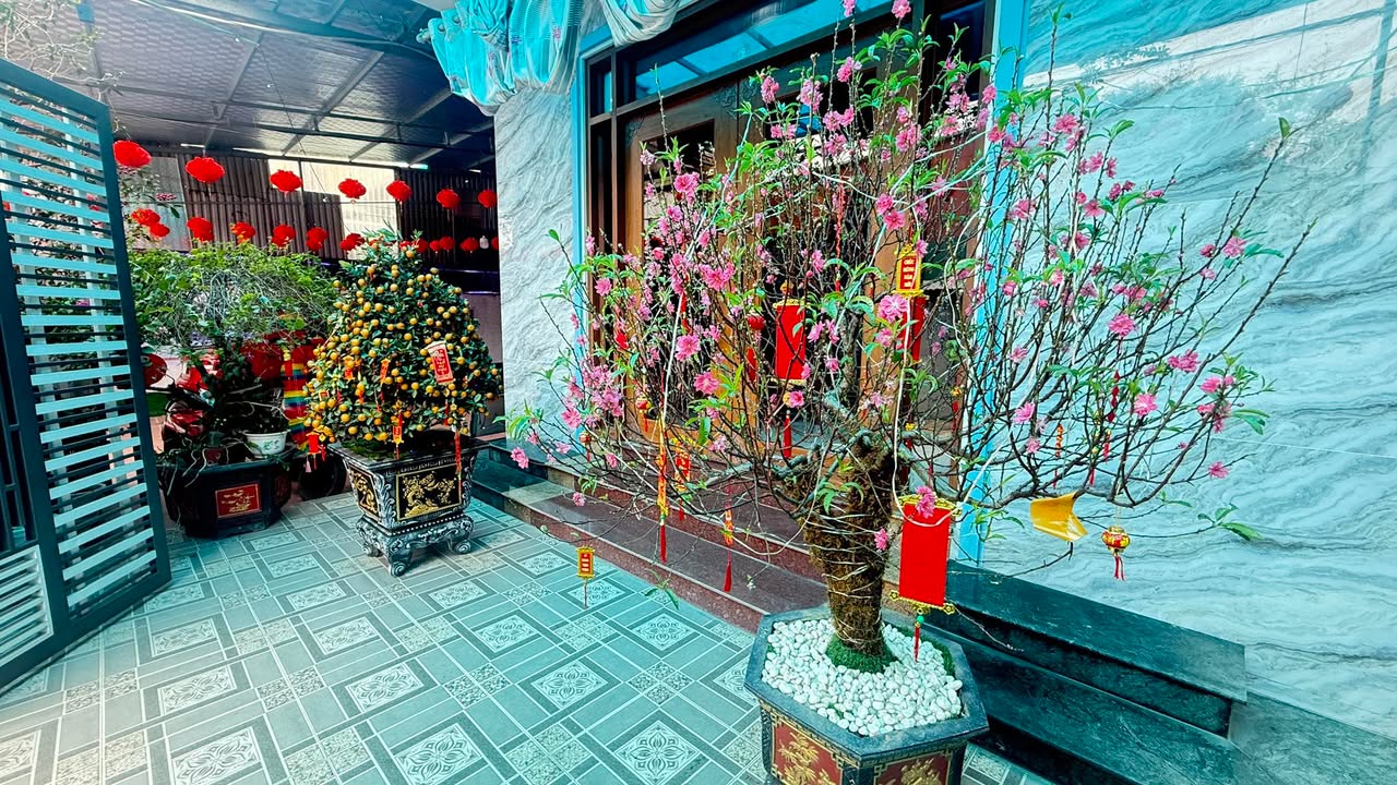 Bán Đất Vĩnh Yên 100m² - Giá Tốt Đầu Năm, Gần Park Hill