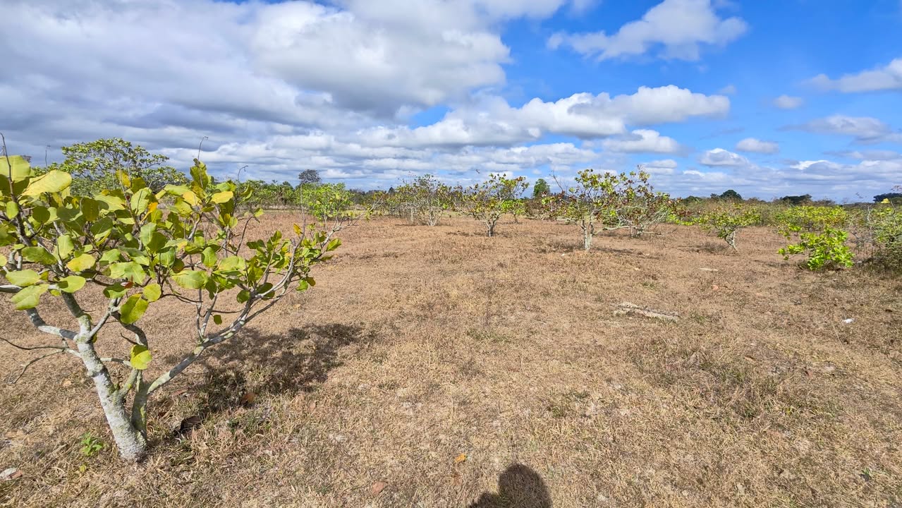 Đất nền Ea Kly, Krông Pắc 2361m² chỉ 360 triệu - Tiềm năng tăng giá!