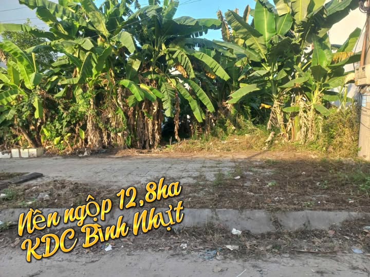 Bán Đất Nền KDC Bình Nhựt Cần Thơ 100m² - Sổ Hồng Riêng, Giá Tốt