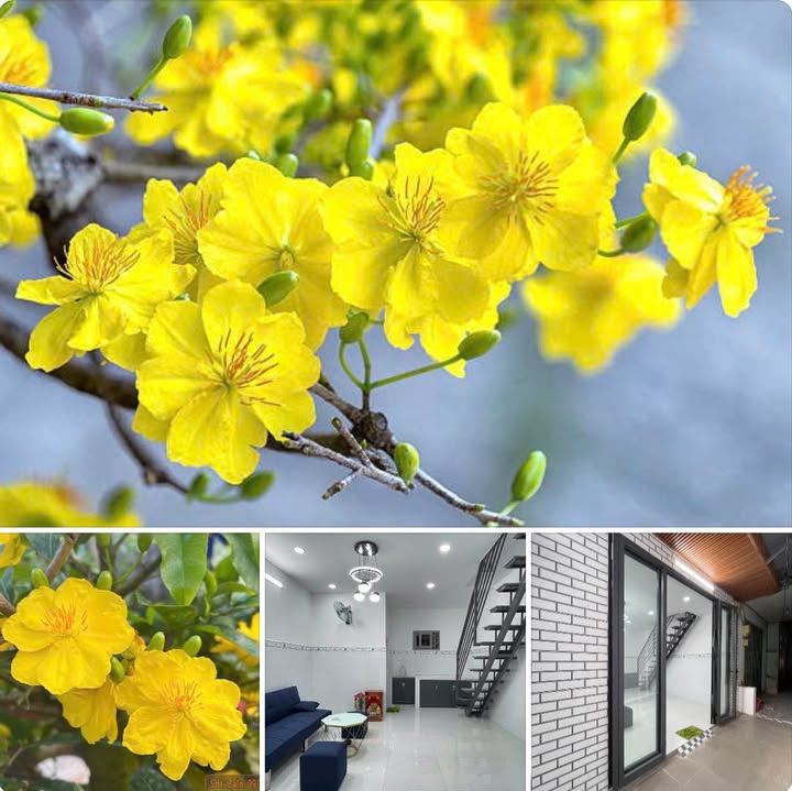 Nhà Sổ Hồng Riêng Quận 9 - 20m² Giá 2.35 Tỷ, Gần Vincom Lê Văn Việt