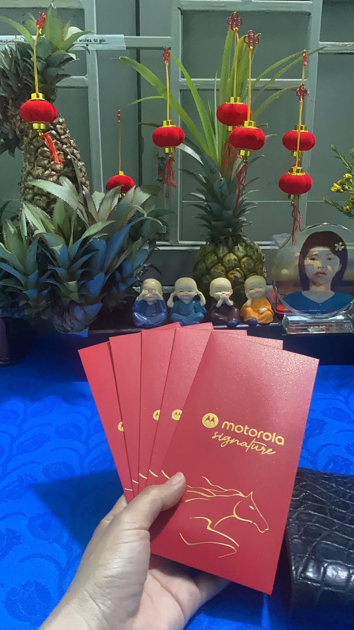 Farm 14ha Đất Đỏ Bazan Lương Thế Vinh, Tuy Hòa - Chính Chủ Bán Gấp