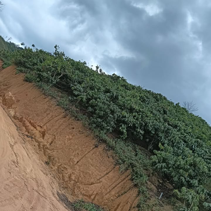 Đất nền Lâm Hà 13.000m² - Tiềm năng tăng giá vượt trội!