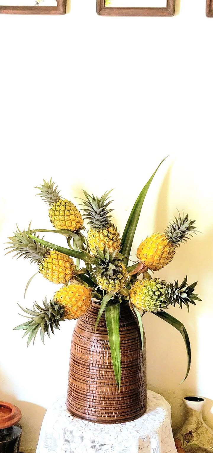 Đất Vườn Đắk Lắk 11 Hecta - Sầu Riêng Năm Tốt Giá 70 Tỷ