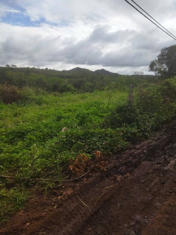 Bán 5.7ha Đất Đỏ Bazan Đăk Đoa Gia Lai 6.2 Tỷ - Nghỉ Dưỡng Lý Tưởng!