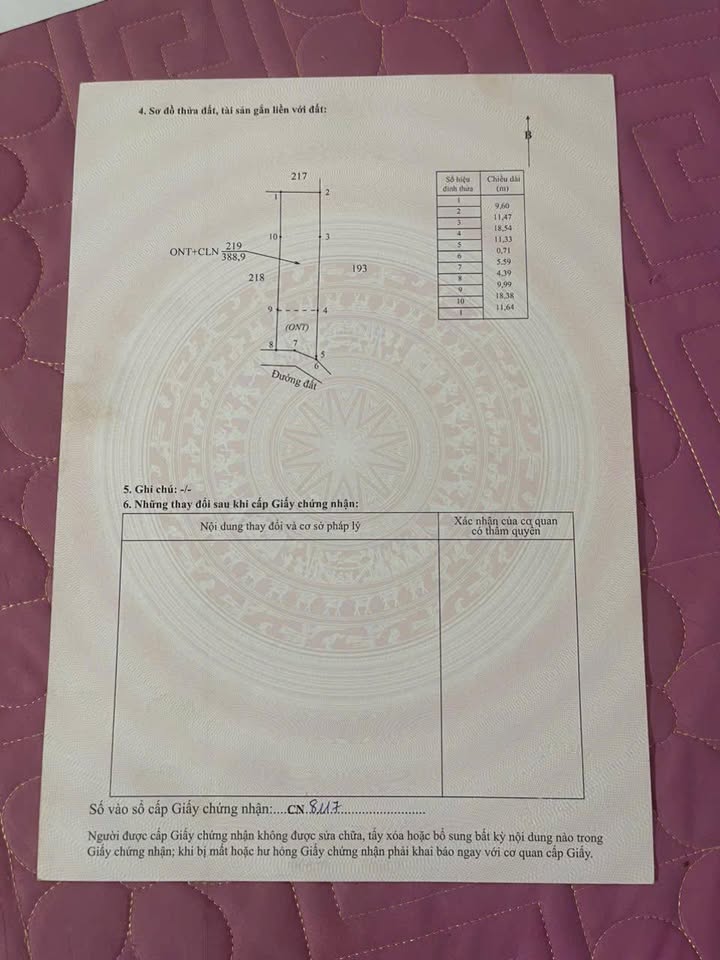 Đất nền Nhân Đạo Đắk R'Lấp 384m² giá 390 triệu - Sổ hồng sẵn!