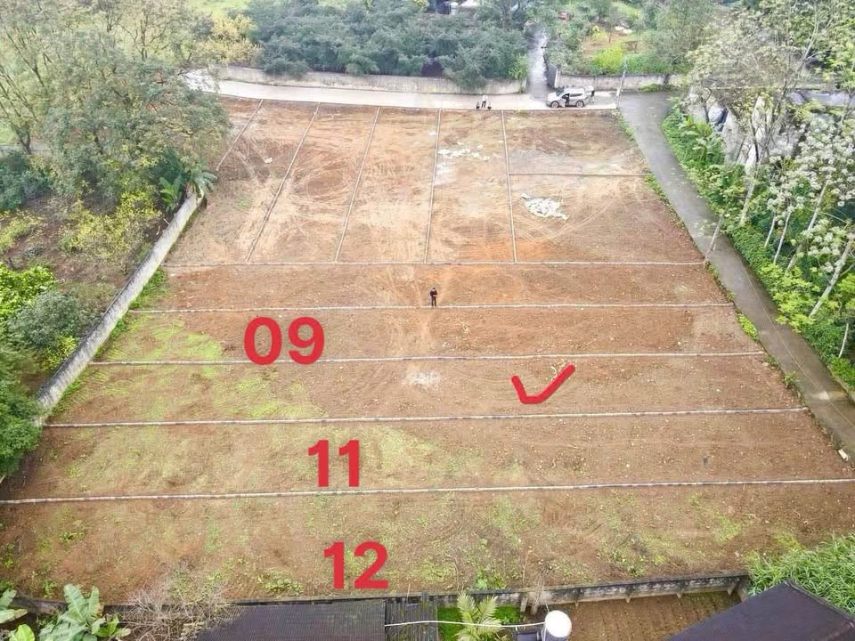 Đất nền Phục Linh Đại Từ 250m² giá hơn 300 triệu - Đầu tư sinh lời!