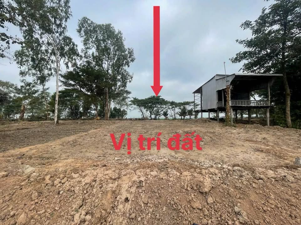 Đất Nền An Giang 140m² - Giá 290 Triệu, Sổ Hồng Chính Chủ