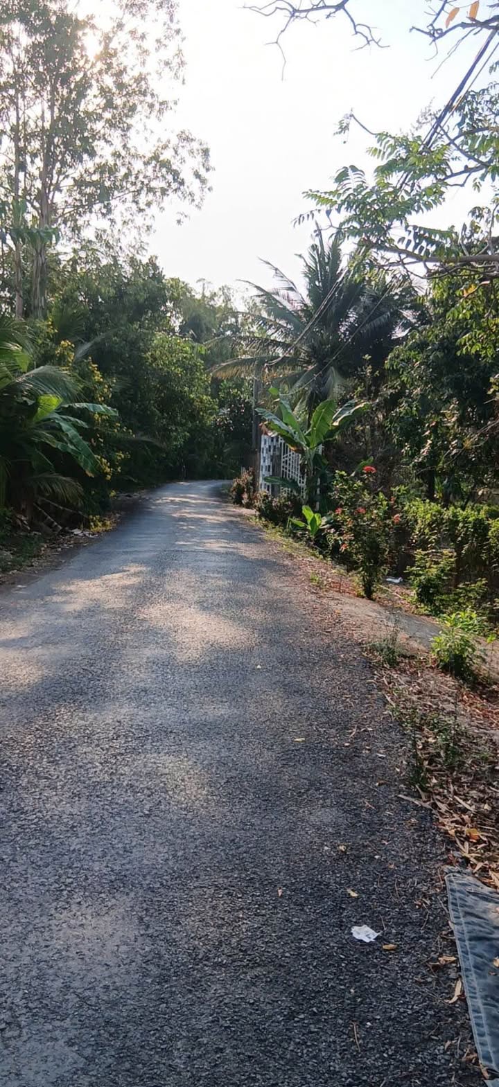 Bán Đất Nền 1572m² Mặt Tiền Đường Nam Rạch Chùa, Cái Bè, Tiền Giang - Giá 2.6 Tỷ