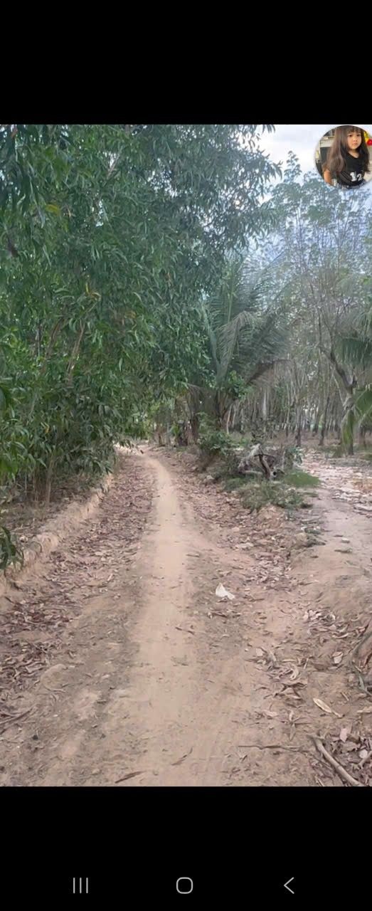 Đất Nền Thạnh Bình, Tân Biên 330m² - Sổ Đỏ Chính Chủ Giá Tốt!