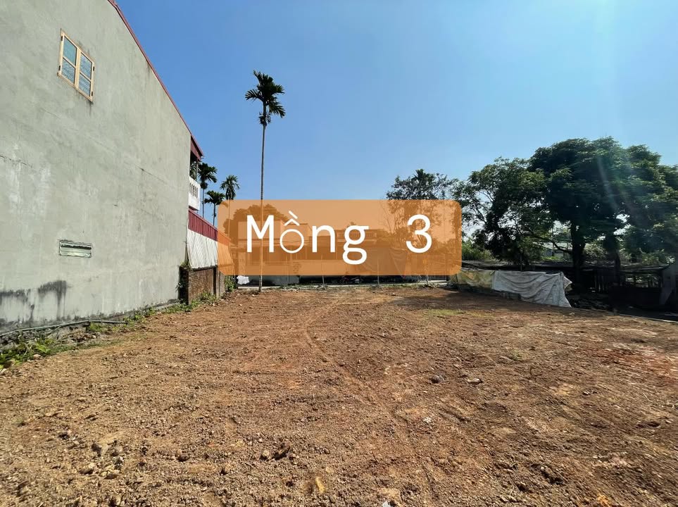 Đất nền Tân Hòa TP. Hòa Bình 100m² giá 1 tỷ - Sổ đỏ chính chủ!