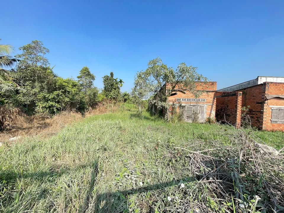 Bán Đất Mặt Tiền Lê Thị Lơn Củ Chi 635m² - Thích Hợp Xưởng/Biệt Thự